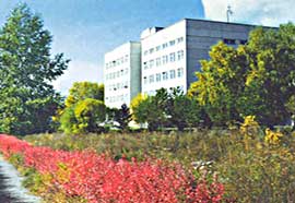 Institute of Computational Modelling, Siberian Branch of the Russian Academy of Sciences, Krasnoyarsk, Russia