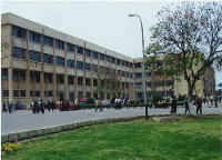 Mansoura University, Egypt