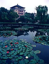 Zhejiang University, China